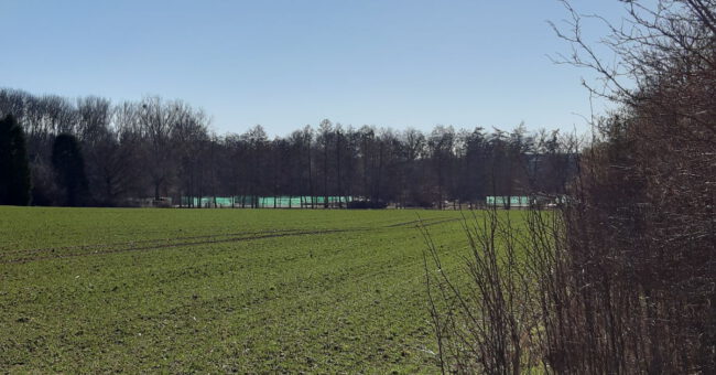 2021-02-14 gruenanlage_gottfried_disse_strasse